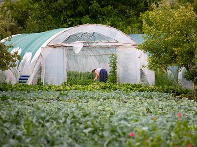 Na Dolenjskem: inšpektorji zaznali sum izkoriščanja sezonskih delavcev iz Nepala