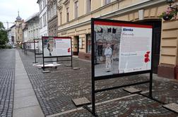 Hud vandalizem sredi Ljubljane: znesli so se nad razstavo društva bolnikov s krvnimi boleznimi #foto