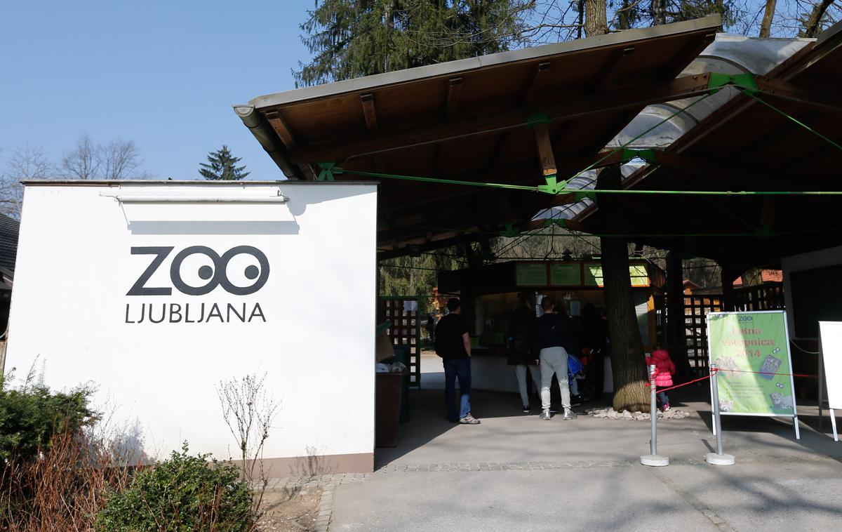 Živalski vrt Ljubljana | Foto STA