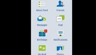 S Facinate do Facebooka