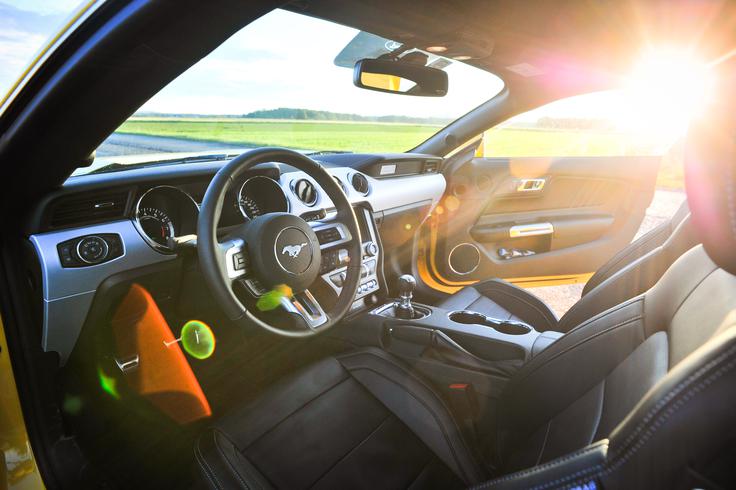 Ford mustang V8 5,0 - fotogalerija testnega vozila | Foto: Ciril Komotar