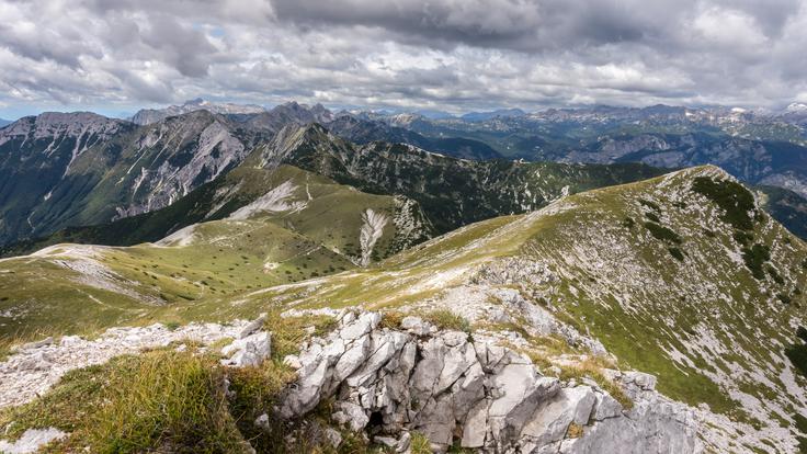 Vogel privablja poleti in pozimi. | Foto: Peter Markič