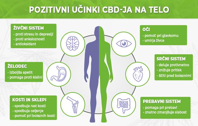 Številne študije - nekaj jih je bilo izvedenih tudi v Sloveniji - potrjujejo učinkovitost CBD –ja. | Foto: 