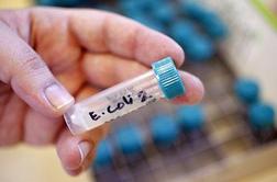 Nemčija za izbruh okužb z bakterijo E.coli okrivila kalčke