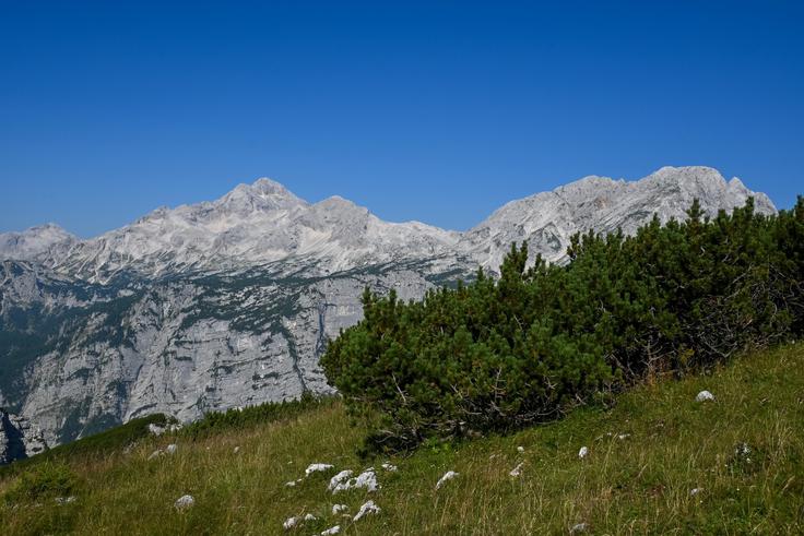 Pogled z vrha, imenovanega Mrežce proti Triglavu in Rjavini | Foto: Matej Podgoršek