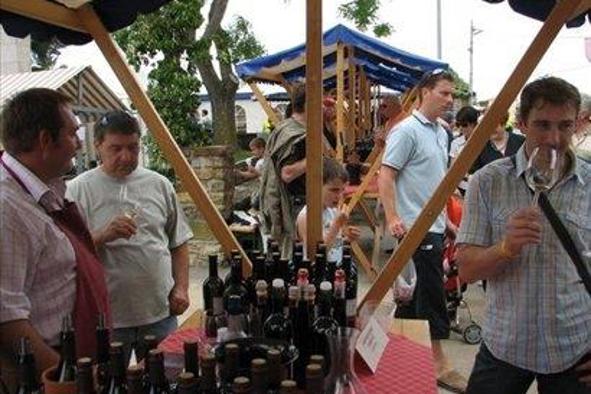 V Marezigah bodo tekli najboljši refoški in malvazije