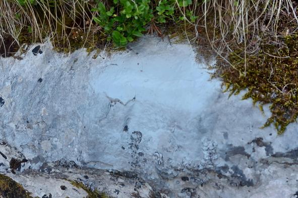 Na območju doline Vrata neznanci poškodovali markacije in napise