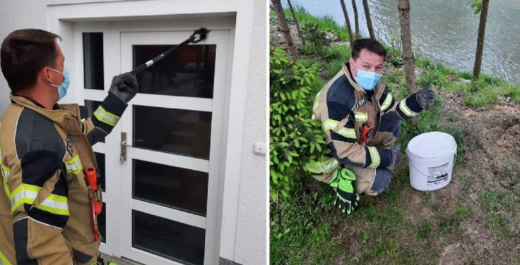 Gasilci so sicer nestrupeno kačo ujeli in jo vrnili v naravo. | Foto: CZR Domžale