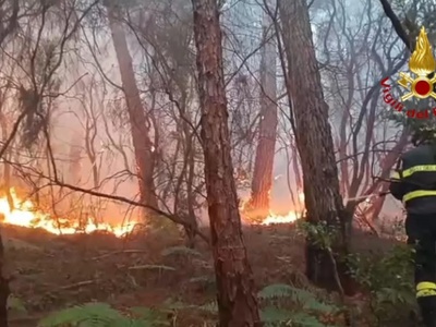 Požar v Toskani se umirja: zanetil naj bi ga kmet