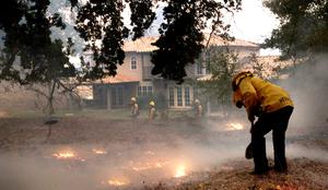 Kalifornija: manj vetra in bolj vlažno vreme vendarle olajšala delo gasilcem #video