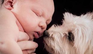 Kako do uspešnega sobivanja dojenčka in psa?