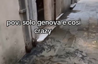 Posledice plimovanja v Italiji: ribe plavajo po ulicah