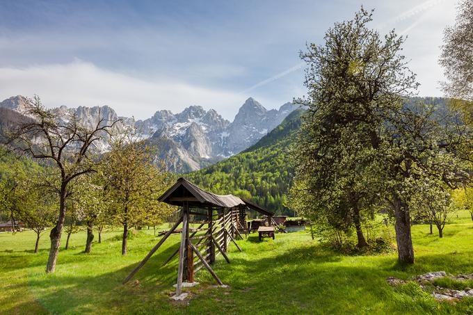 Gozd Martuljek.  | Foto: Aleš Zdešar, vir: www.slovenia.info.