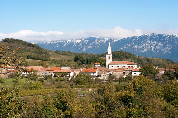 Goče | Foto: Profimedia