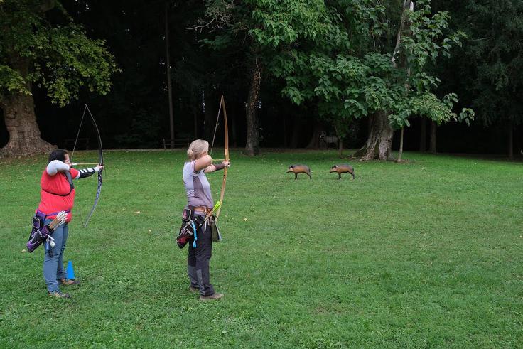 Nekoliko bolj pustolovsko je 3D-lokostrelstvo. Klasične tarče zamenjajo tridimenzionalne makete živali v naravni velikosti, postavljene v naravnem okolju, lokostrelec pa mora poleg natančnega strela dobro oceniti tudi razdaljo do tarče. | Foto: Arhiv LZS