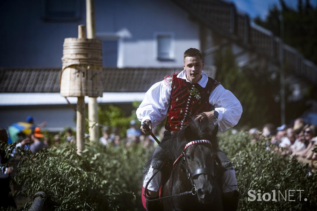Posavsko štehvanje