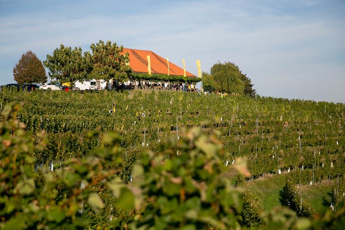 Eden od mnogih čudovitih razgledov na jeruzalemske vinograde se razlega z dvorišča Zidanice Malek. | Foto: Mediaspeed