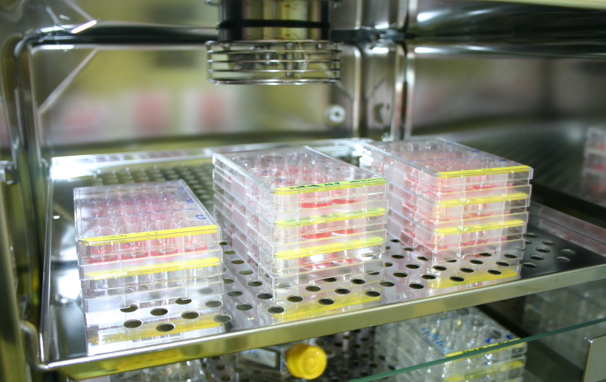 matične celice, ImmunoArt, Educell | Slovensko biotehnološko podjetje Educell bo razvijalo sistem bioreaktorjev za klinike v ZDA.