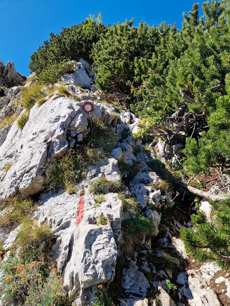 Prvi del vzpona od koče Škrka ima nekaj krajših kamnitih odsekov. | Foto: Matej Podgoršek