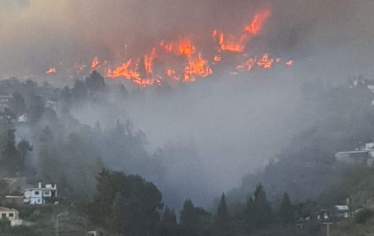 La Palma | Foto Reuters