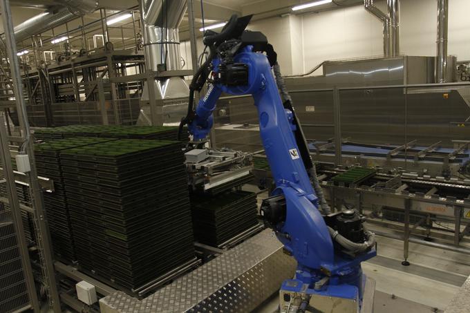 V tovarni uporabljajo robote največjega svetovnega proizvajalca robotov Yaskawa Electric, ki bo redno proizvodnjo robotov začela leta 2019 v Kočevju. | Foto: Don don