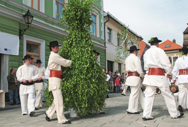 Črnomelj | Foto: 