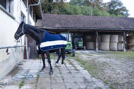 Pedagoško raziskovalni center za konjerejo Krumperk