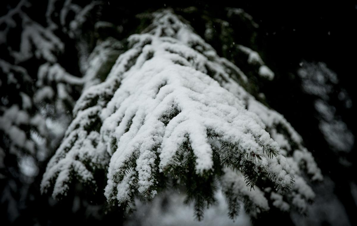 sneg v Ljubljani | V prihodnjih dneh bodo namesto sonca in visokih temperatur prevladovali oblaki in dež, v višje ležečih predelih pa vremenoslovci napovedujejo tudi sneg. | Foto Ana Kovač