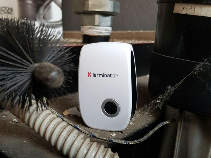 Xterminator | Foto: 