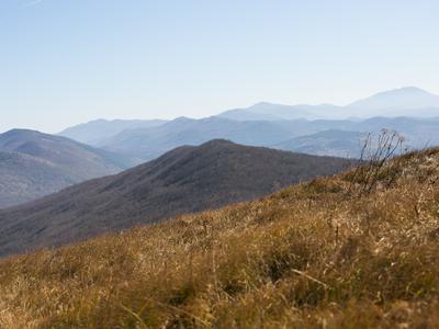 Terenska vozila uničevala travnike in cesto na Slavniku, policija izsledila voznika