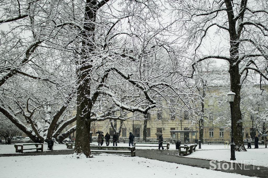 Sneženje v Ljubljani
