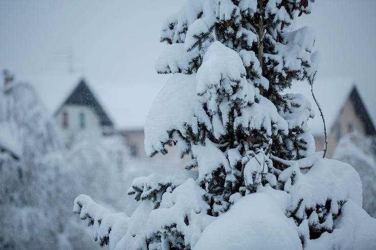 Obilnim snežnim padavin je ponekod sledil še dež. | Foto: Klemen Korenjak