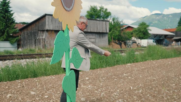 Sejemo sončno prihodnost | Foto: Siol.net