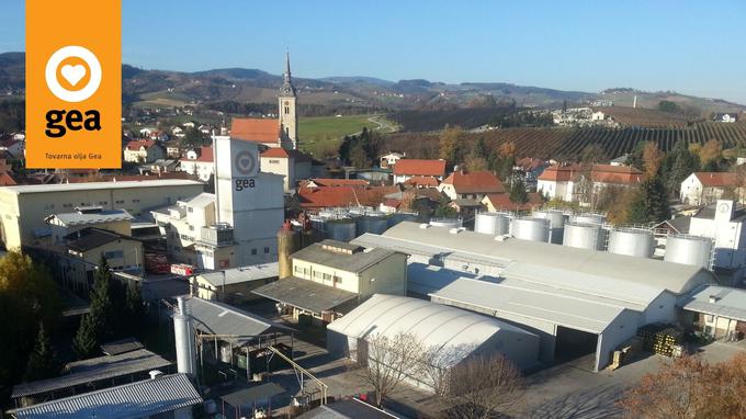 GEA Bučno olje | Foto: 