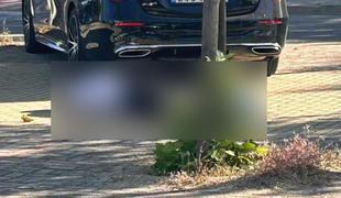 V Španiji likvidirali pomočnika nekdanjega ukrajinskega predsednika
