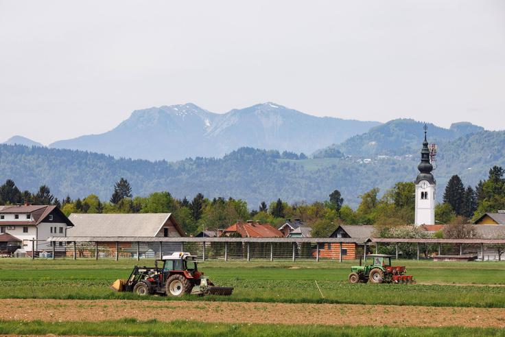 Po najnovejši arheološki študiji je drugi slovanski naselitveni val na območju današnje Slovenije potekal v času po letu 675, in sicer navzgor po Savi. Po tej študiji so Slovani naselili območje današnje Gorenjske šele proti koncu 7. stoletja. To so ugotovitve, ki temeljijo na razlagi arheoloških podatkov o Slovanih. | Foto: Guliverimage/Vladimir Fedorenko