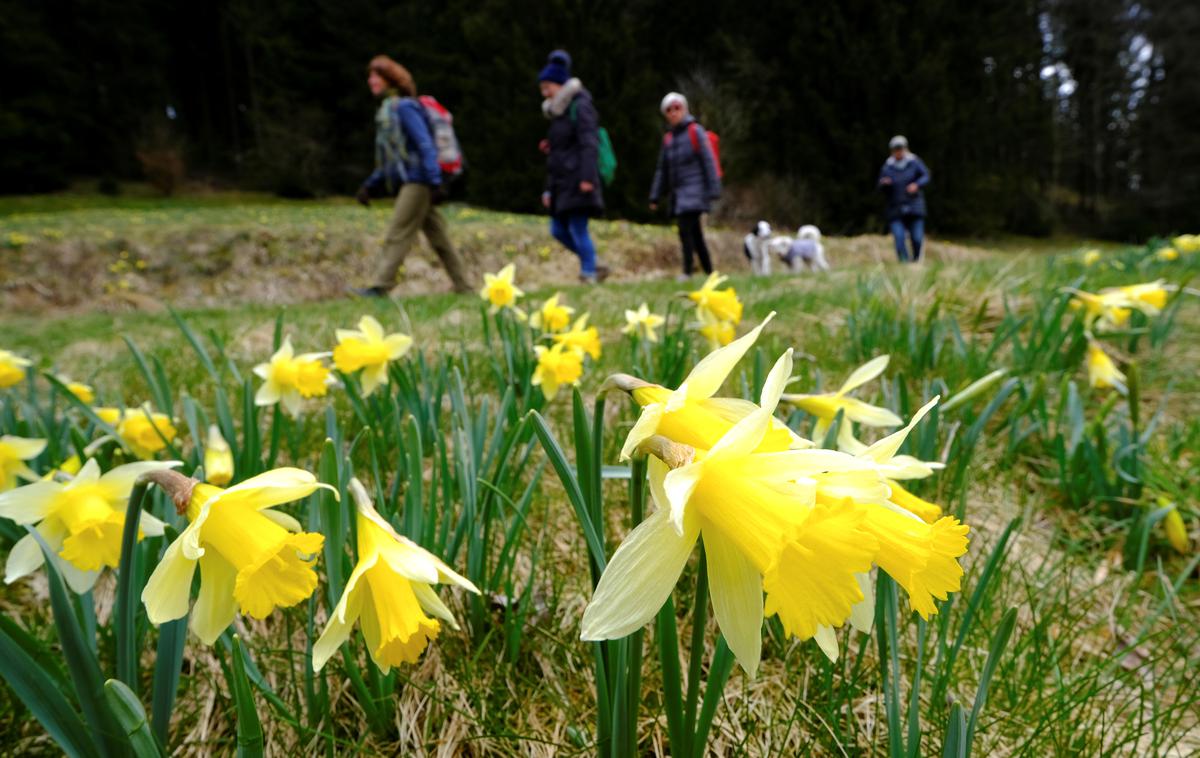 Pomlad | Pred nami je bolj muhasto vreme, tudi ohladilo se bo.  | Foto Reuters