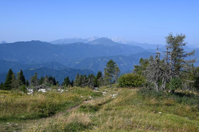 Pogled proti zahodu, proti Raduhi in Savinjskim Alpam | Foto: Matej Podgoršek