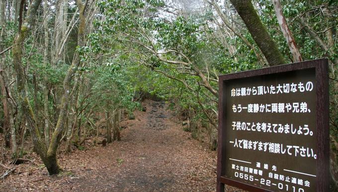 Drugo ime za gozd Aokigahara, ki leži ob vznožju ognjenika Fuji, je Gozd samomorov. Tam se namreč vsako leto obesi, ustreli ali kako drugače stori samomor več deset Japoncev. Naključni sprehajalec bo v gozdu tako pogosto naletel na opozorilne table z motivacijskimi zapisi, pozivi samomorilcem, naj pomislijo na svoje družinske člane, in kontaktnimi številkami za pomoč v stiski.  | Foto: 