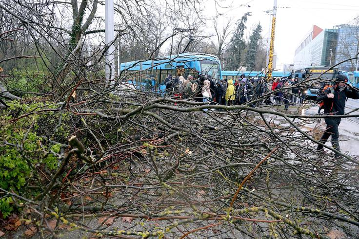 Podrto drevo je v Zagrebu zaprlo Vukovarsko ulico proti zahodu in onemogočilo vožnjo tramvaju. | Foto: Patrik Macek/Pixsell