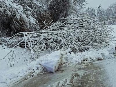 Na severovzhodu države bodo nadaljevali odpravljanje težav po sneženju
