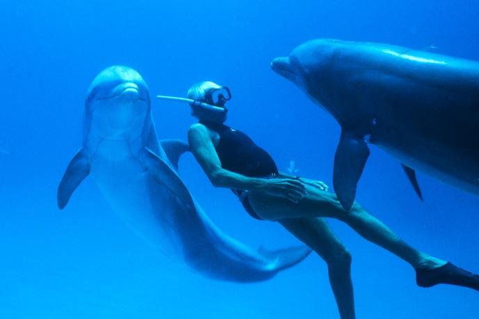 Človek delfin | Foto Demiurg