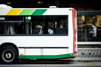 Drevo padlo na avtobus, voznik skušal reagirati. Ni se dobro končalo.