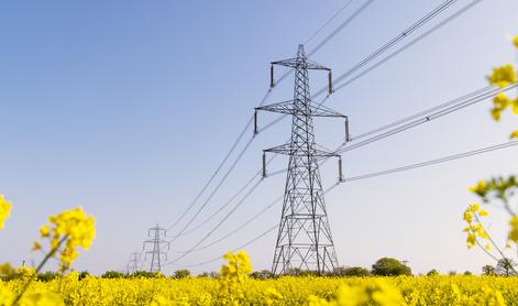 Za dostopne cene elektrike potrebna kombinacija obnovljivih virov z jedrsko energijo