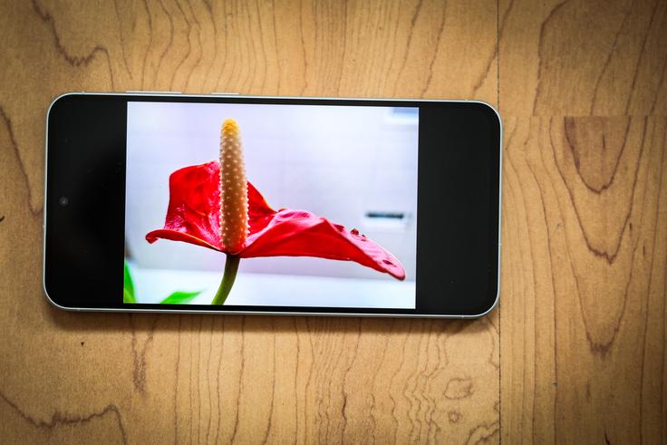 Ob najnovejšem Samsungovem uporabniškem vmesniku One UI 7 prinaša Samsung Galaxy A56 5G tudi nekatere funkcije umetne inteligence, ki smo jih spoznali v začetku leta pri premijskih pametnih telefonih.  | Foto: Ana Kovač