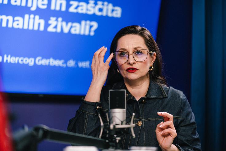 "Prevzem živali na bencinskem servisu? Tu nekaj smrdi in bodite zelo pozorni, bodite odgovorni lastniki," še opozori veterinarka. | Foto: Jan Lukanović