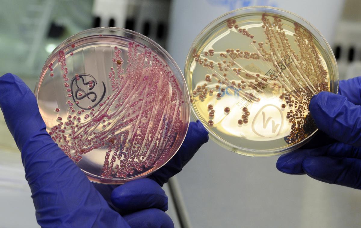 Bakterija | Približno vsaka peta okužena oseba prenese okužbo na več ljudi kot preostali okuženi – to so superprenašalci. | Foto Reuters