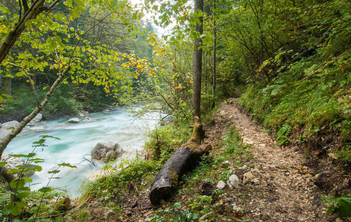 Koželjeva pot | Koželjeva pot | Foto Zavarovalnica Triglav