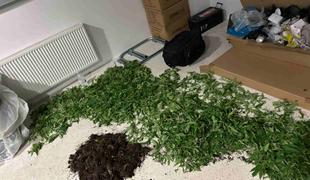 Na območju Trzina v hišni preiskavi zasegli večjo količino prepovedane droge #foto