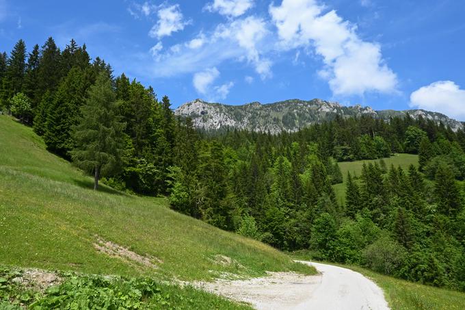 Po Solčavski panoramski cesti nazaj na izhodišče. Pogled navzgor na greben Olševe. | Foto: Matej Podgoršek